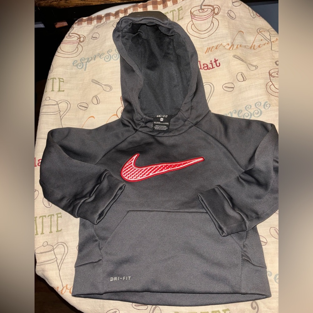Nike Dr Fit toddler hoodie 2T